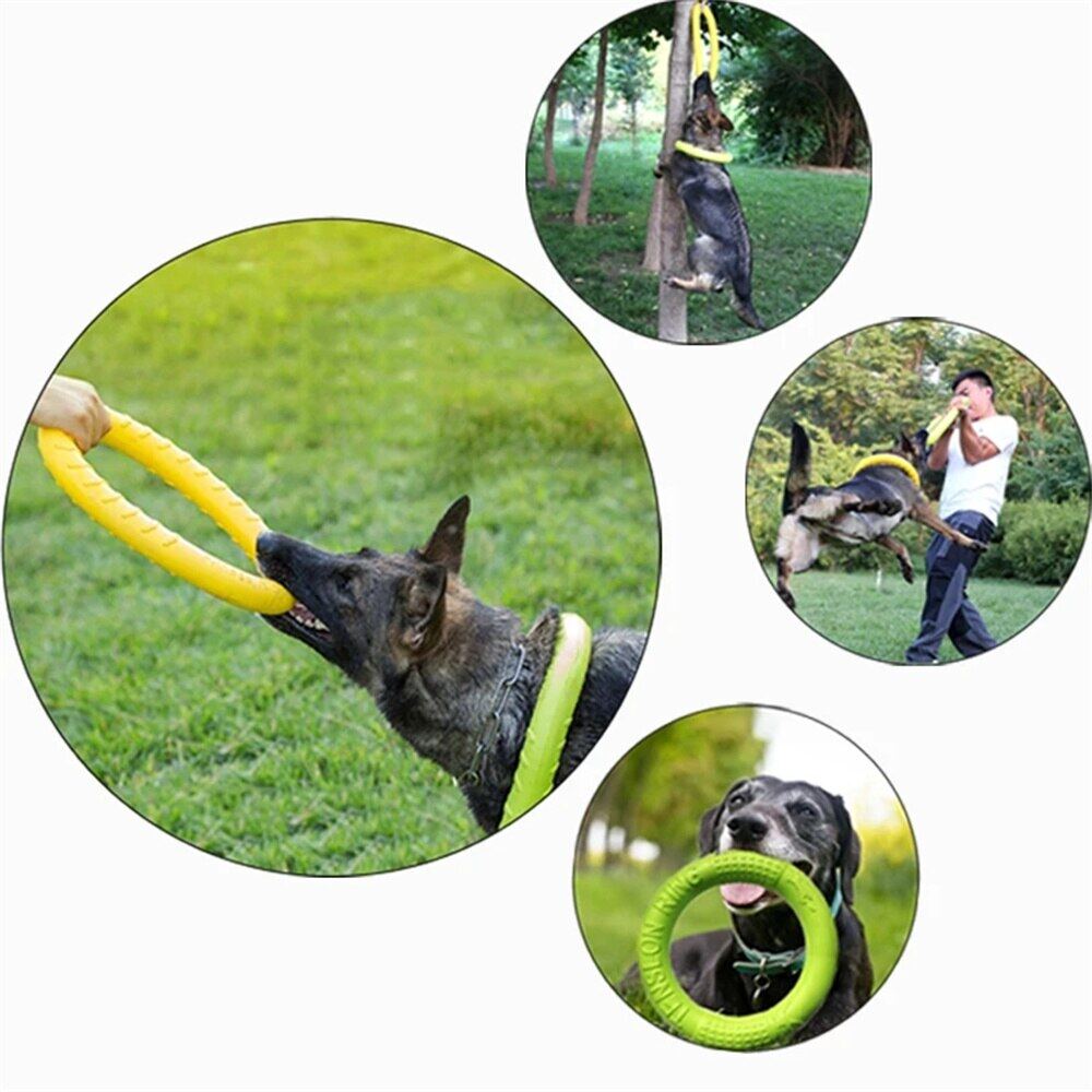 Interactive Dog Flying Saucer Toy