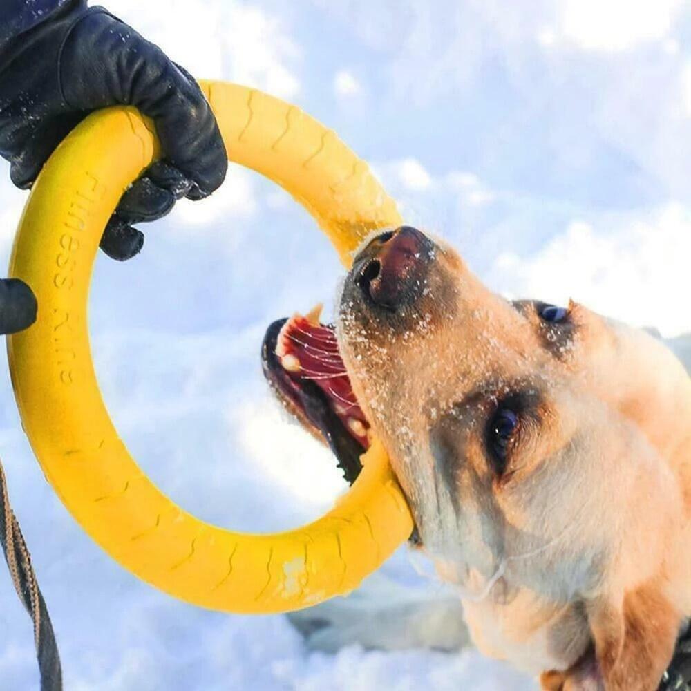 Interactive Dog Flying Saucer Toy