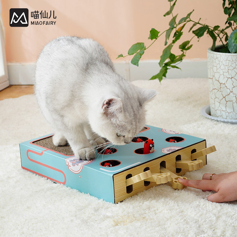 Scratch Maze Cat Toy