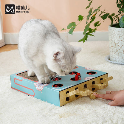 Scratch Maze Cat Toy