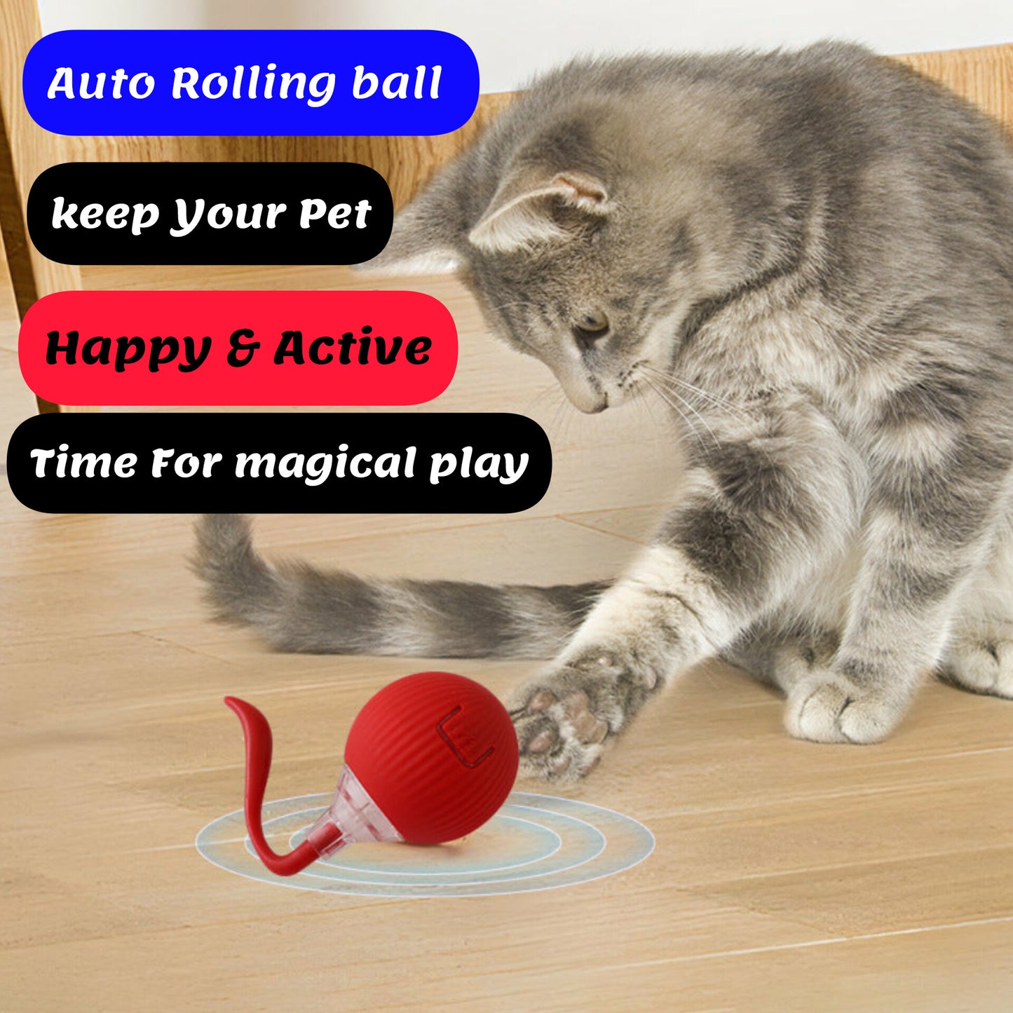 Auto Rolling Pet Ball