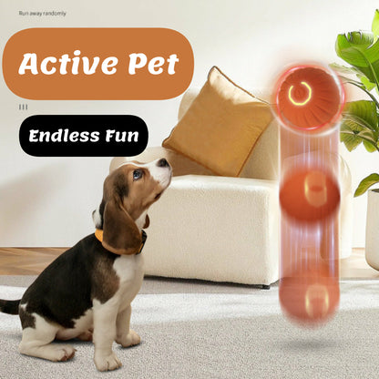 AutoBounce Pet Play Ball