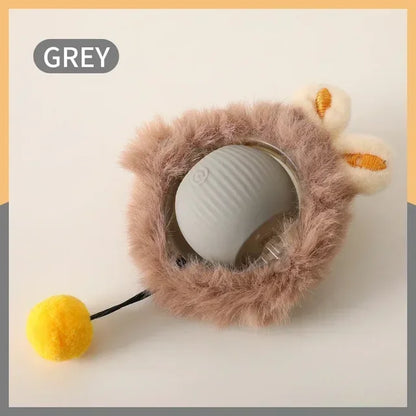 Auto Rolling Pet Ball