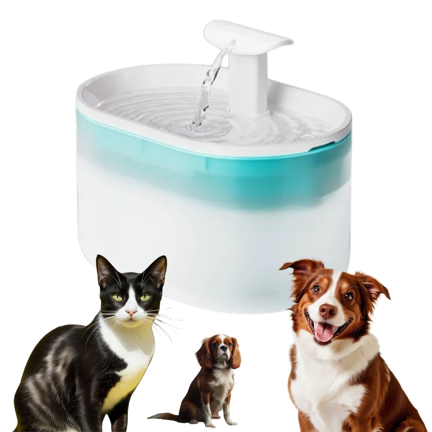 Aqua Flow Pet Hydrator