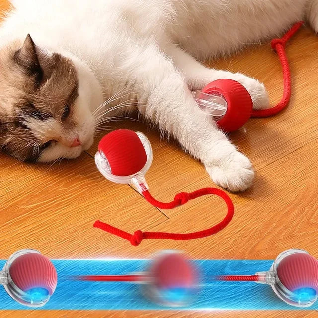 Auto Rolling Pet Ball