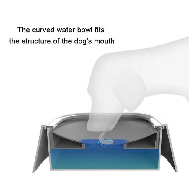 Splash Proof Pet Water Bowl