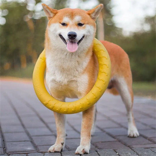 Interactive Dog Flying Saucer Toy